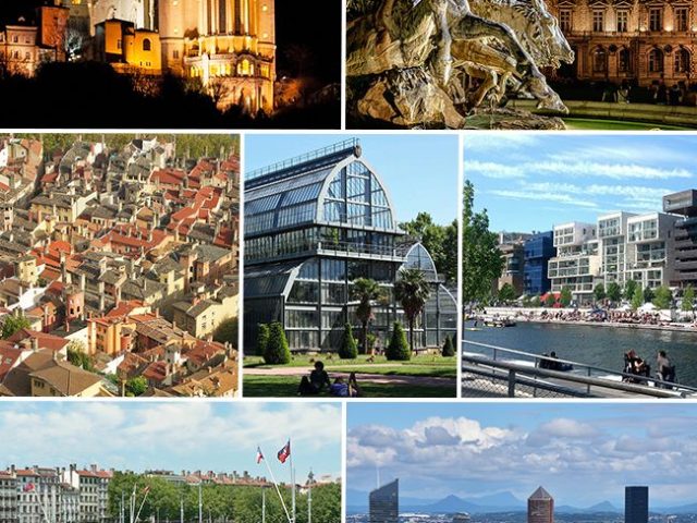Diététicien·ne à Lyon : consultations et démarches