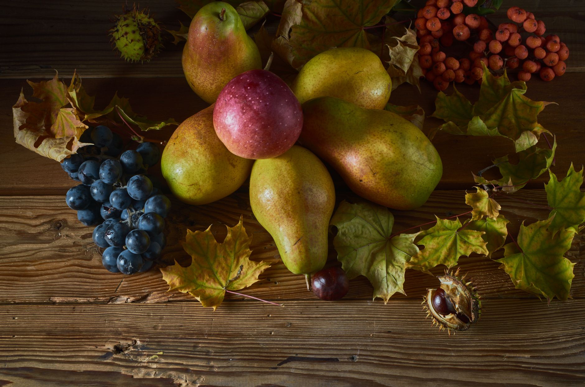 Adapter le régime méditerranéen aux aliments de saison